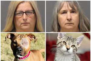 'Crazy Rescue Ladies' Who Had 170+ Pets In Disgusting NJ Home Sentenced, Prosecutors Say