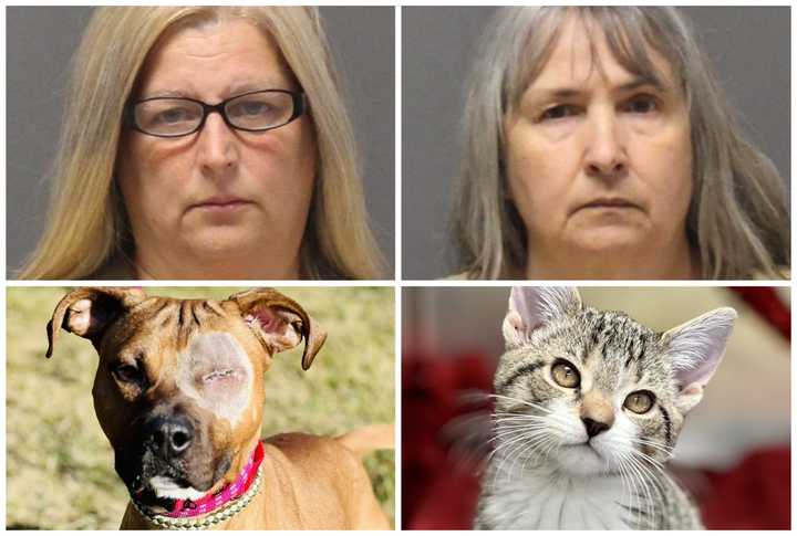 Aimee Lonczak, 51, and Michele Nycz, 60, both from Brick Township, NJ, were sentenced after pleading guilty to animal cruelty charges.