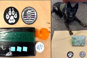 Over 1K Grams Of Fentanyl Seized In Taconic Traffic Stop In East Fishkill: Police