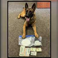 K9 Finds Crack Cocaine, Fentanyl, Over $2.5K In Jeep On Taconic Parkway In Clinton: Police
