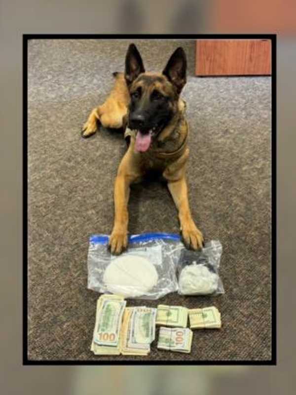 K9 Finds Crack Cocaine, Fentanyl, Over $2.5K In Jeep On Taconic Parkway In Clinton: Police