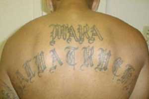 MS-13 Members Slashed Soccer Players, Beat Victims On Long Island, DA Says
