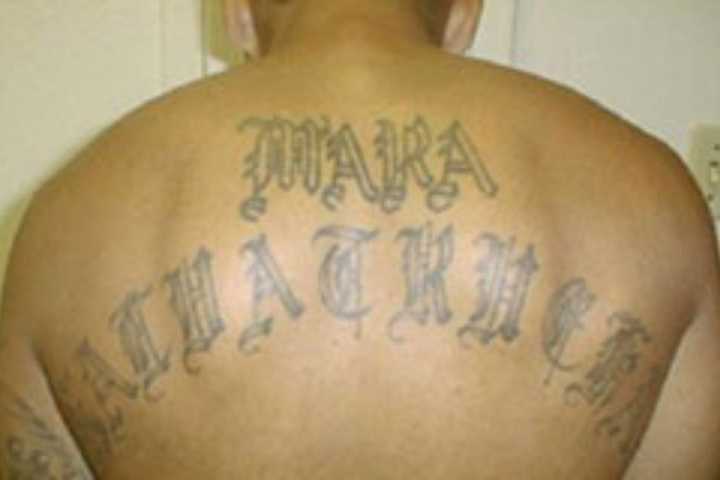 MS-13 Members Slashed Soccer Players, Beat Victims On Long Island, DA Says
