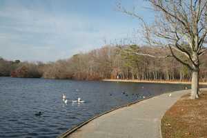 Toddler Struck, Killed In Parking Lot At Belmont State Park