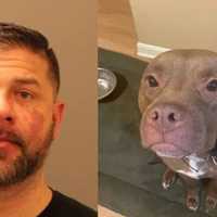 PA Dad Who Beat Dog To Death With Bat Sentenced After Teen Daughter Called Police