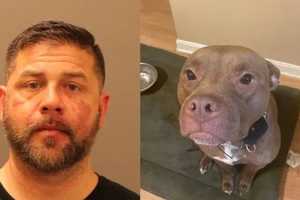 Dover Dad Who Beat Dog To Death With Bat Sentenced After Teen Daughter Called Police