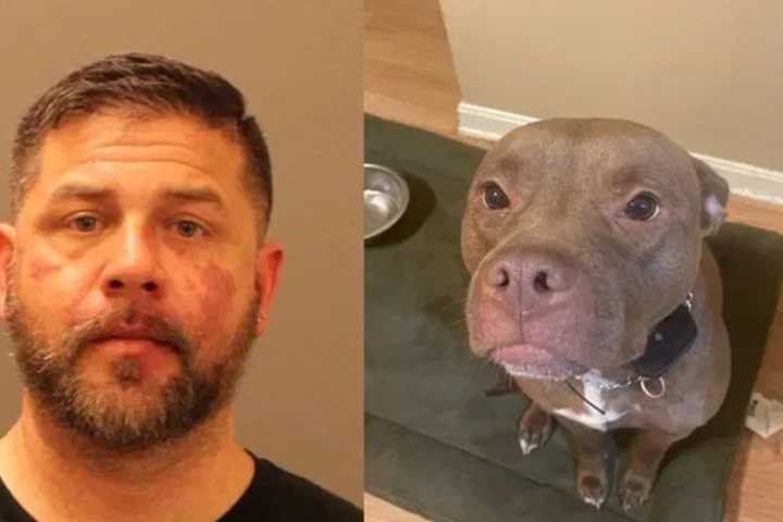 Dover Dad Who Beat Dog To Death With Bat Sentenced After Teen Daughter Called Police