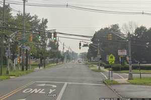 Hamilton Township Man Dies While Walking Across Road With Dog, Police Say