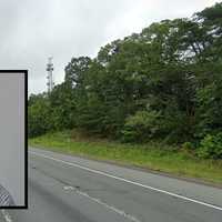 Ex-Con Busted With Brambles In Hair On I-95 After Fleeing Drug Bust In DMV: Sheriff