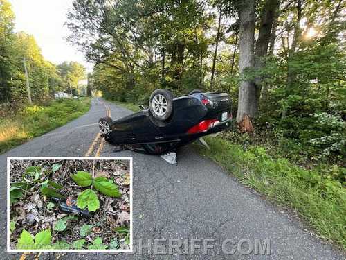 Bootleg Booze Upside Down Delivery - Download L9F2Tvm 