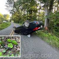 Pizza Delivery Crashed, Burned After Virginia Driver’s Bootlegger ‘Sips,’ Sheriff Says