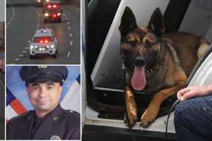 K-9 Attacks Bystander At Funeral For Slain NYPD Detective