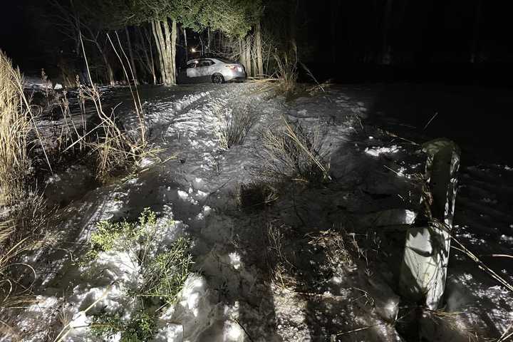 Day Drinking Spotsy Driver Crashes Into Stafford Yard, Stumbles Into Jail, Sheriff Says