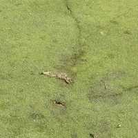 <p>The aftermath.</p>