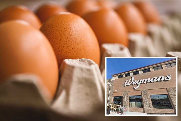 Wegmans Cracks Down On Rising Egg Costs With Super Low Prices