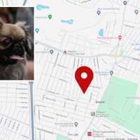 Nassau County Family Court Greenlawn Centerport Daily Voice Nassau County Family Court Greenlawn Centerport Daily Voice