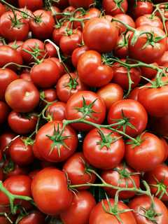 Tomatoes Sold In New York Recalled Due To Salmonella Risk