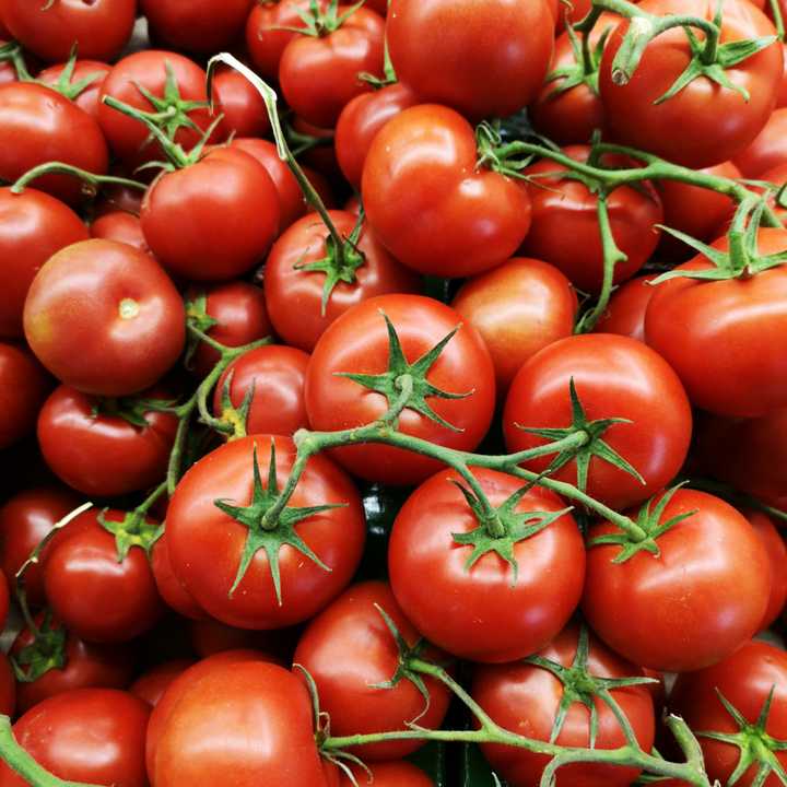 Vine tomatoes