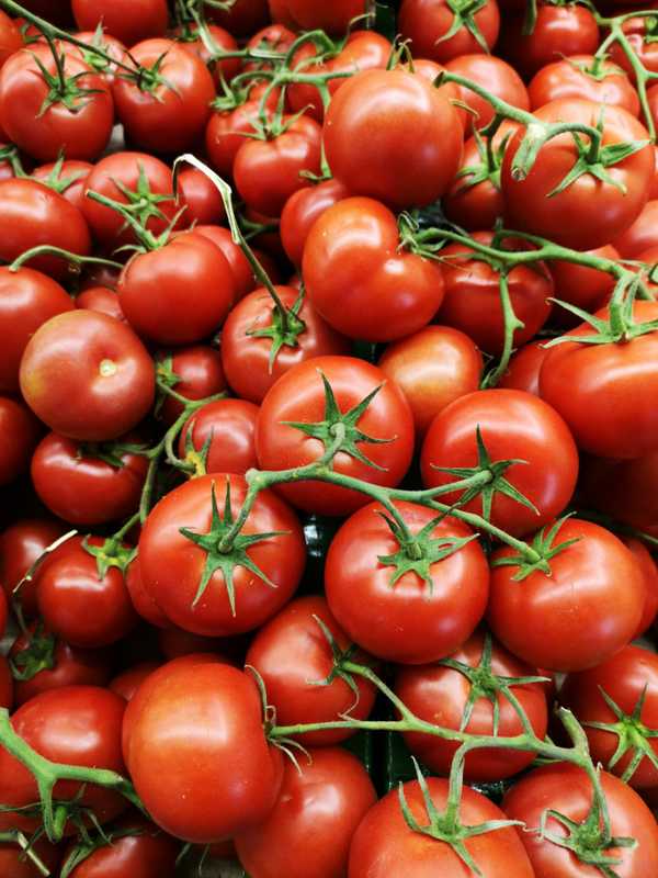 Tomatoes Sold In New York Recalled Due To Salmonella Risk