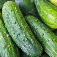 Dozens Sickened By Cucumbers Sold In NY During Nationwide Salmonella Outbreak