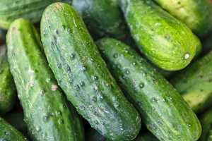 Dozens Sickened By Cucumbers Sold In NY During Nationwide Salmonella Outbreak