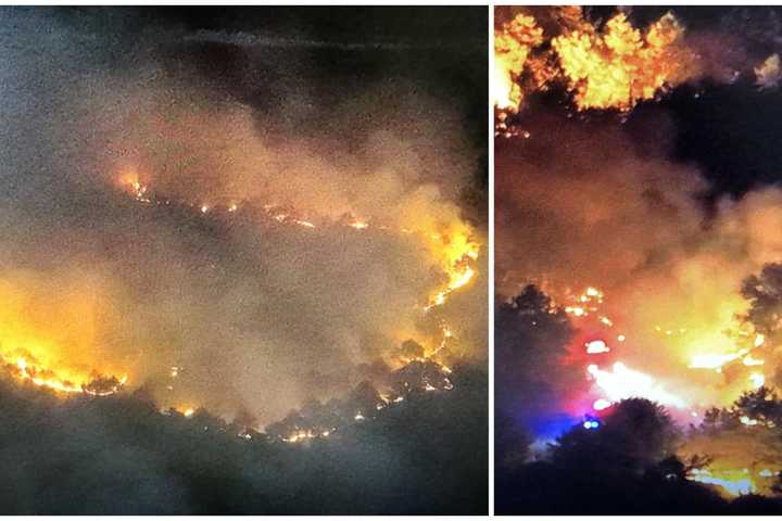 Campfire Accidentally Sparked Huge Wildfire Near Jersey Shore Neighborhood: Investigators