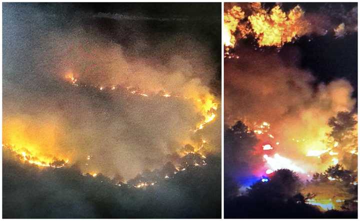 Campfire Accidentally Sparked Huge Wildfire Near Jersey Shore ...