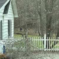 Did Bigfoot Photobomb Weather Service Storm Pic? Most Aren’t Buying It