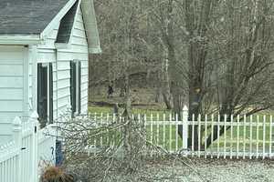 Did Bigfoot Photobomb Weather Service Pic in Pennsylvania? Most Aren’t Buying It