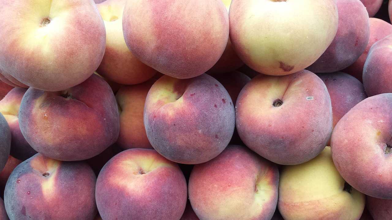 The peaches were distributed to retail stores across the US. The peaches were distributed to retail stores across the US.