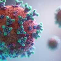COVID-19 Pandemic Stress May Have Aged Your Brain, Even Without Infection, Study Says