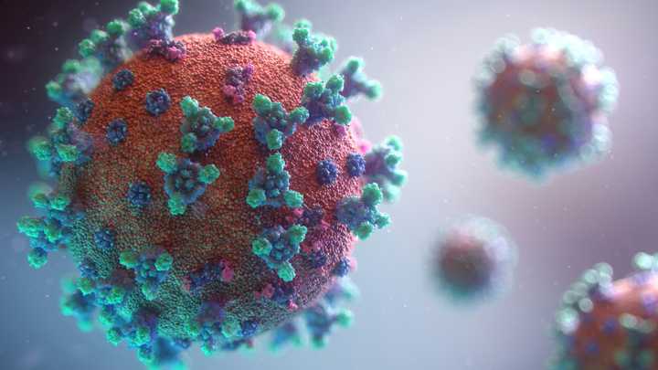The findings suggest that the stress, isolation, and lifestyle disruptions of the pandemic may have left a biological mark on our brains, one that could have long-term consequences, especially for vulnerable groups.
