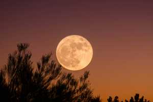 The Beaver Moon — Last Supermoon of 2024 — Will Dazzle Skywatchers Soon: Here's When To Look Up