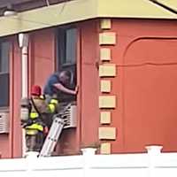 <p>From Wednesday's motel rescue in Elmwood Park.</p>