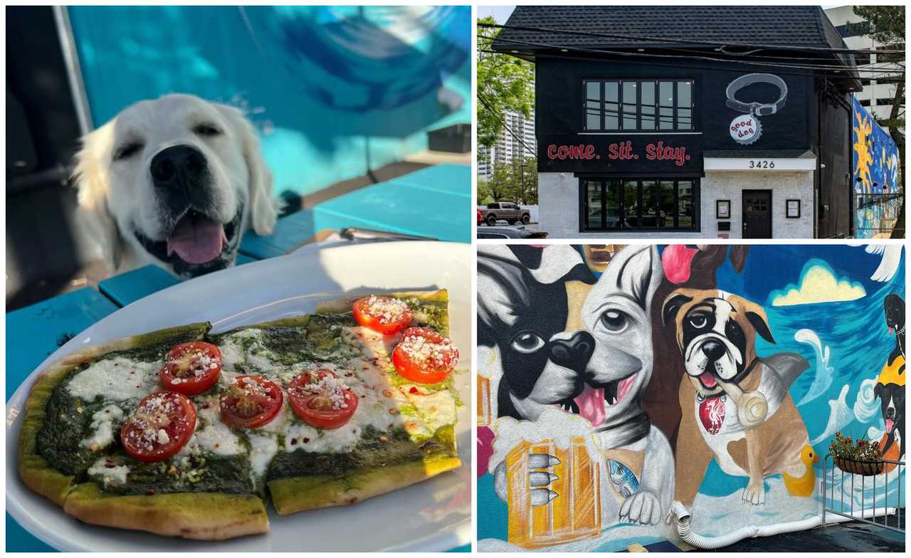 'We Gave It Everything' DogThemed Bar Permanently Closing In Atlantic