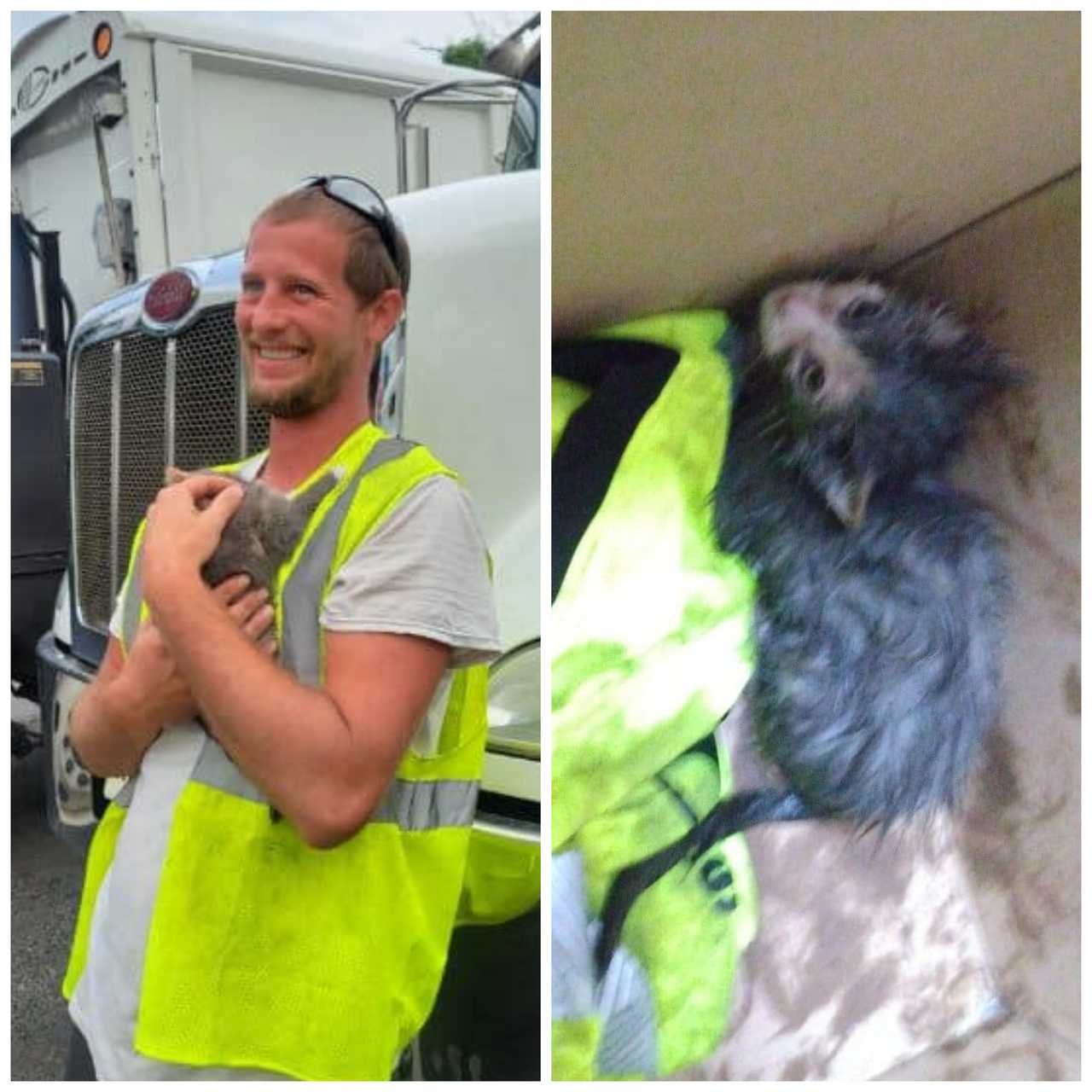 Recycling Worker Saves OilCovered Kitten From Trash Compactor