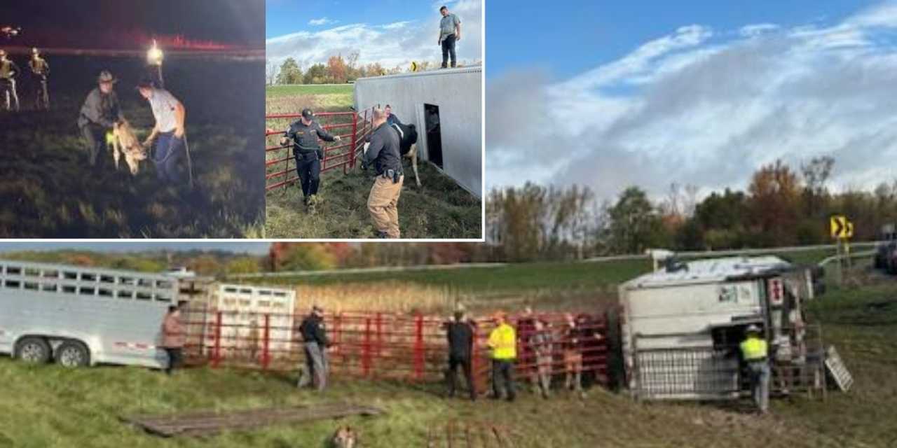 The scene of the crash. The scene of the crash.