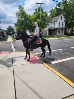Man On Horse Helps NJ Cops Catch Hit, Run Driver: Police