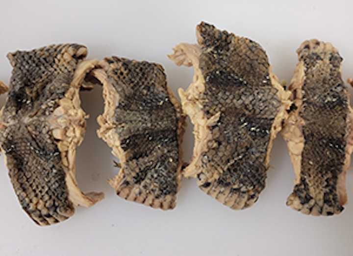 CBP found this snake meat in the baggage of a traveler from Equatorial Guinea.