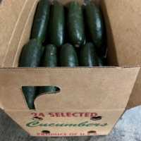 <p>The recalled cucumbers</p>