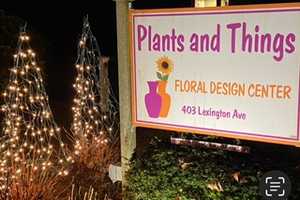 Best Florist In Westchester County In 2024: Plants and Things Floral Design