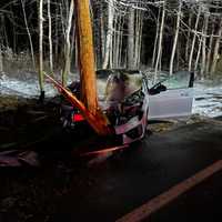 <p>A car crashed into a utility pole.</p>