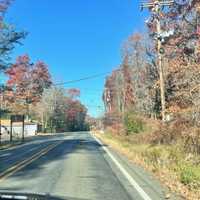 <p>Reader Michelle K. Stephan-Daly sent us this photo from Northeastern Pennsylvania to show that the Keystone State also has its leaf-peeping season. </p>