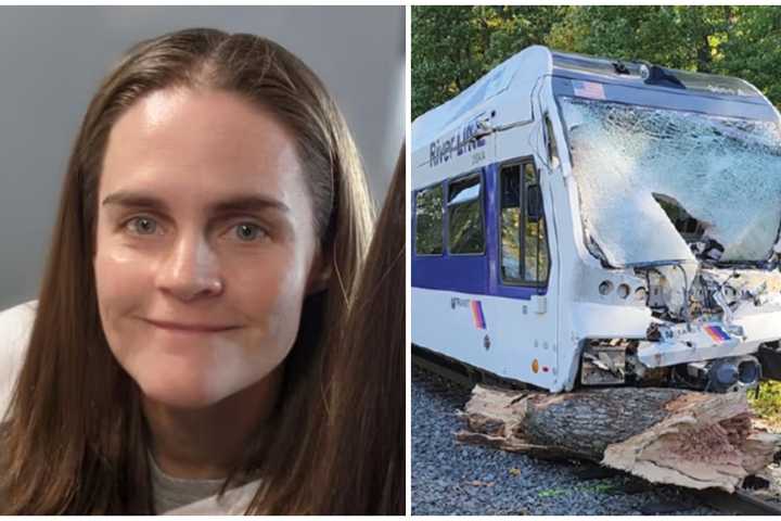 NTSB Releases Early Findings From Deadly NJ Transit Train Crash Involving Fallen Tree Probe