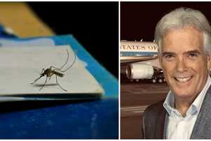 Fox News Anchor Hospitalized With 'Severe Case' Of Malaria