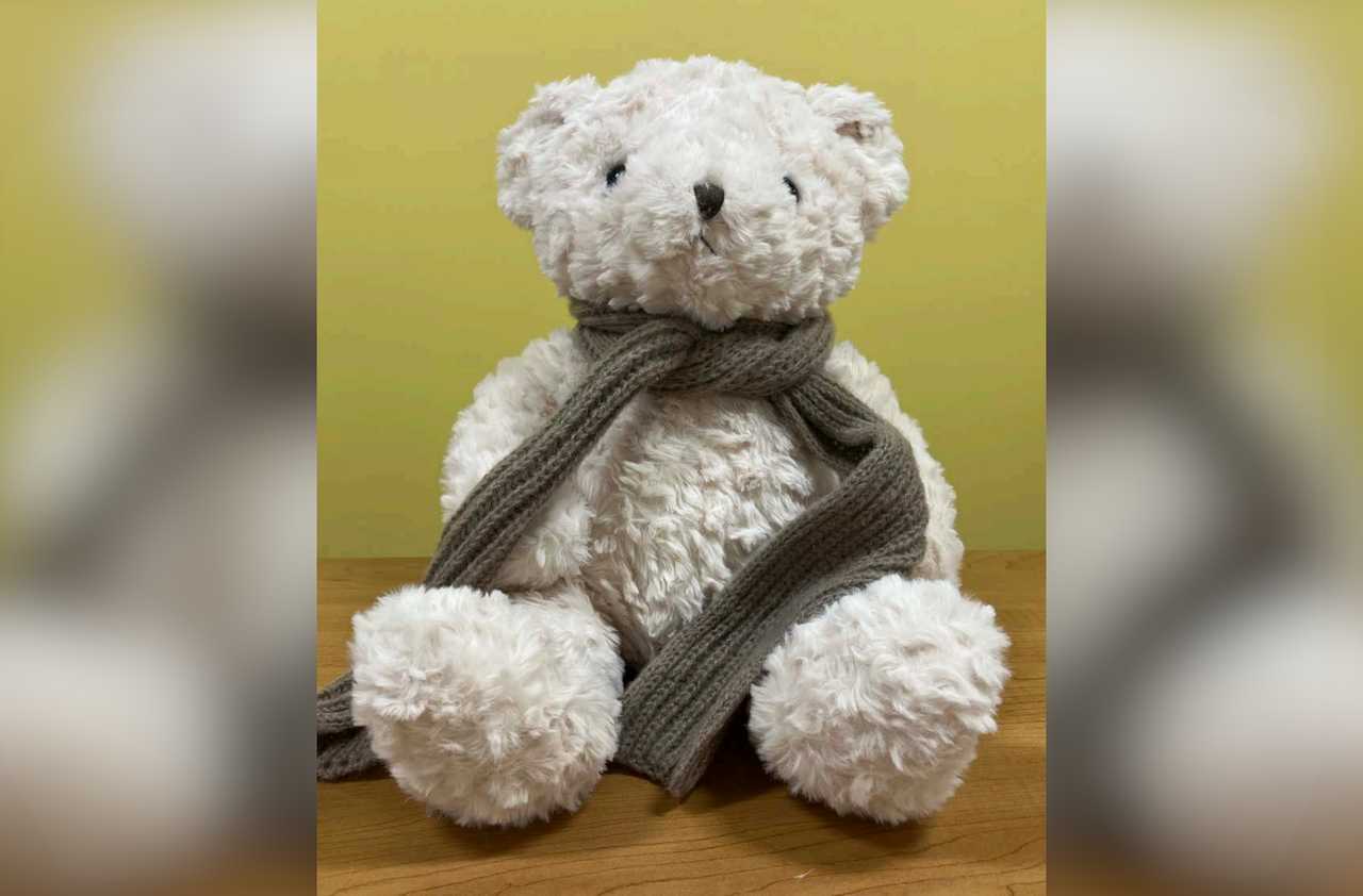 FoloToy suspended sales of the "Kumma" teddy bear in November 2025 after the&nbsp;U.S. PIRG Education Fund found that the AI-powered toy could have graphic sexual conversations with children.