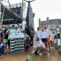 929‑Pound Monster Marlin Puts Timonium Angler in Million‑Dollar Club