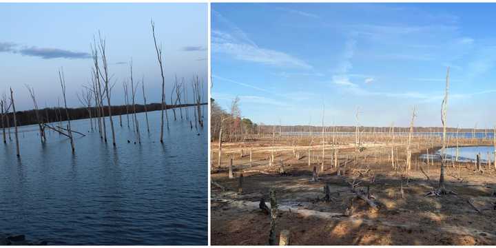 A comparison of the Manasquan Reservoir in Howell Township, NJ, between April 2021 and November 2024.