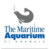 Best Family Activity In Fairfield County In 2024: The Maritime Aquarium at Norwalk