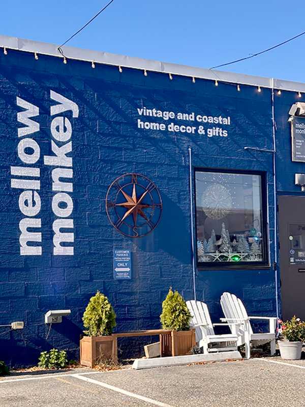 Best Gift Store In Fairfield County In 2024: Mellow Monkey